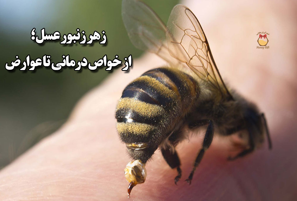زنبور عسل در حال نیش زدن